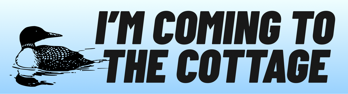 Heated Rivalry Bumper Sticker