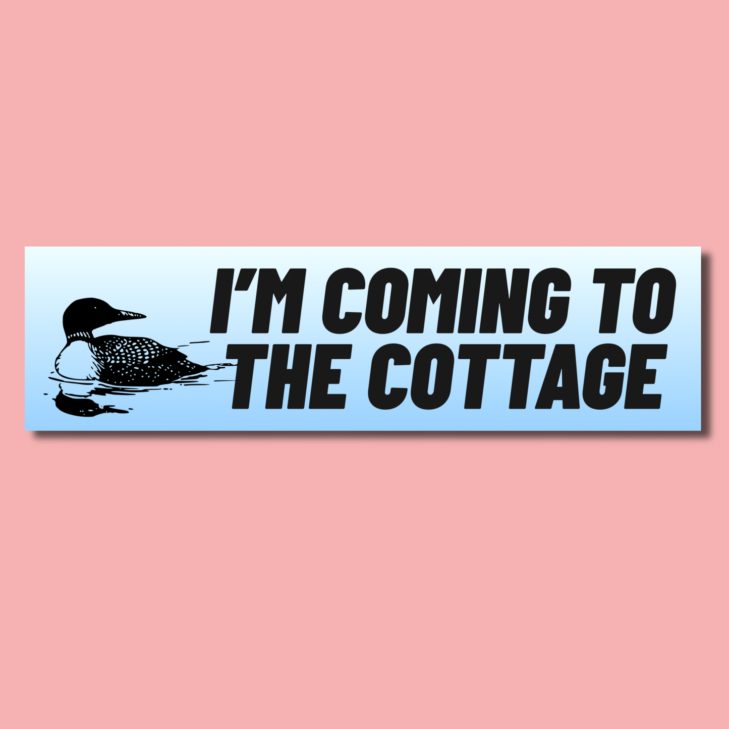 Heated Rivalry Bumper Sticker